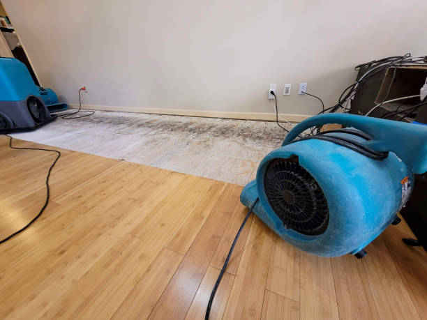 Professional Ceiling Water Damage Repair technician working in Elizabeth, CO